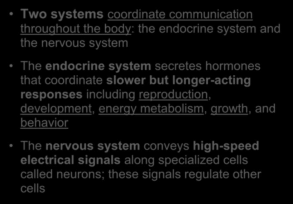 metabolism, growth, and behavior The nervous system conveys high-speed electrical signals along specialized cells called