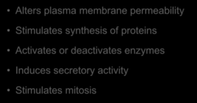 Effects on target cells Alters plasma membrane permeability Stimulates synthesis of proteins Activates or deactivates enzymes