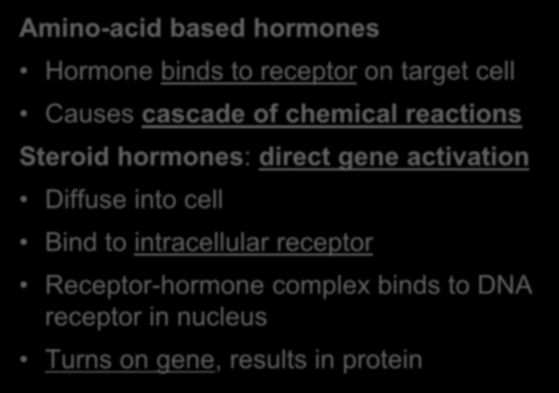 Mechanisms of action Amino-acid based hormones Hormone binds to receptor on target cell Causes cascade of chemical reactions Steroid hormones: direct gene activation Diffuse into cell Bind to