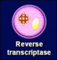 NNRTIs ( Non-Nukes ) Non-Nucleoside Reverse Transcriptase Inhibitors (NNRTIs or "non-nukes"): Like NRTIs, interfere with HIV's reverse transcriptase enzyme