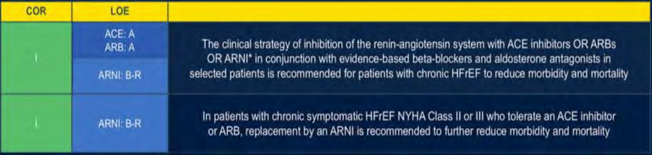 Recommendations for Renin-Angiotensin System Inhibition With ACE Inhibitor or ARB 1.Yancy CW, et.