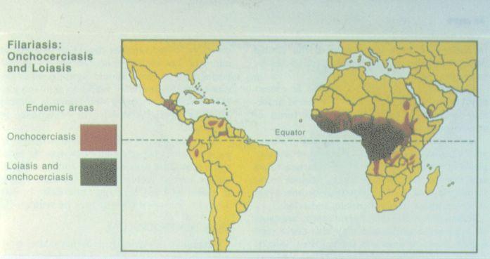 GEOGRAPHIC DISTRIBUTION West and East Afrika,