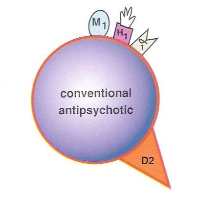 Conventional or Typical Antipsychotics All conventional antipsychotic drugs block dopamine D2 receptors. Antagonism of the dopamine D2 receptor results in the antipsychotic effects.