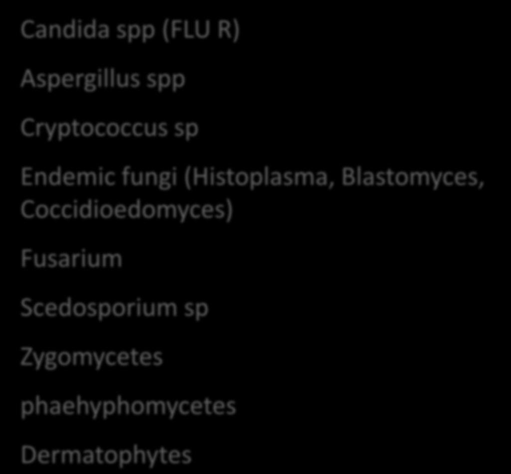 Candida spp (FLU R) Aspergillus spp