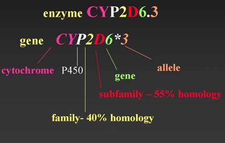 aldehid dehidrogenaza, CYP; citokromi P450, DPD;