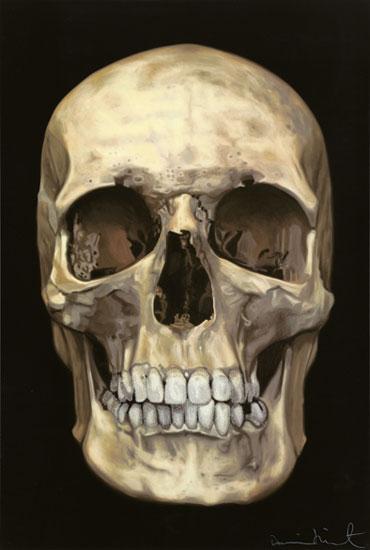 The Skull Two sets of bones 1. Cranium 2.