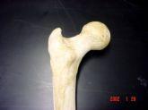 Articulating Help form Joint Ex;