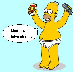 Triglycerides as Fuel Triglyceride metabolism