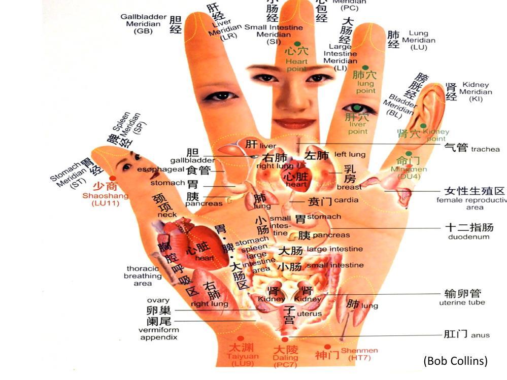 III. Hand Acupressure: There are several different pressure points found in your hand.