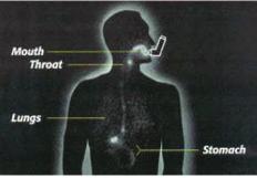 SPACERS Why use a spacer with an inhaler? Inhaler alone When an inhaler is used alone, medicine ends up in the mouth, throat, stomach and lungs.