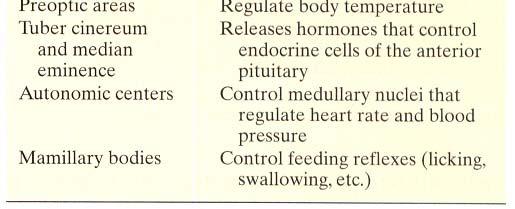 and endocrine