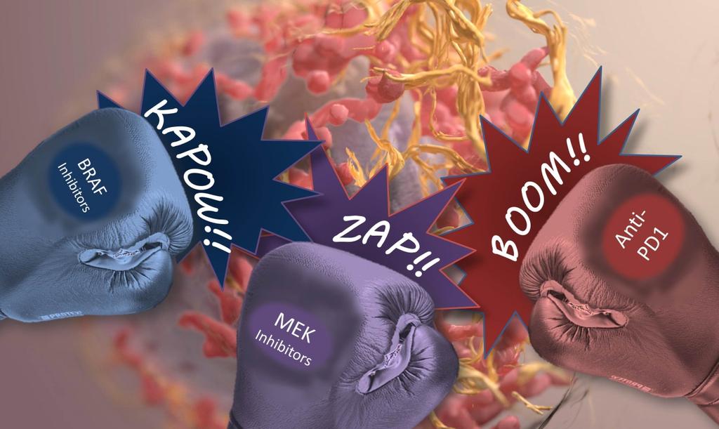 How Can We Do Better? NIH Director s Blog* Knocking Out Melanoma: Does This Triple Combo Have What It Takes? Posted on March 31, 2015 by Dr.