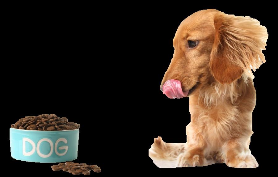 Classical Conditioning Neutral Stimulus: A stimulus that does not initially elicit any part of an unconditioned response The Russian psychologist Ivan Pavlov calls what was taking