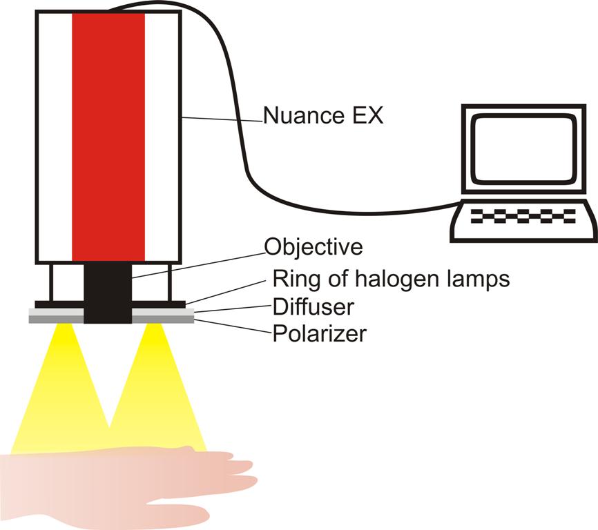 Figure 1. The measuring equipment: multispectral camera Nuance EX, halogen light source, diffuser, polarizer, and computer. 2.