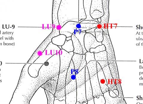 P 8 P 9 Between the 2nd and 3rd metacarpal bones, proximal to the metacarpophalangeal joint, in a depression at the radial side of the third metacarpal bone