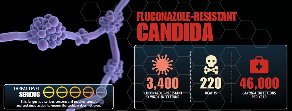 Fluconazole Resistance in Candida Fluconazole is the most readily available and frequently prescribed antifungal