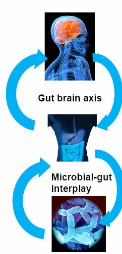 New & Emerging Research Cancer Gut-brain axis Obesity-related