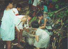 which collapsed yearly April 2000: EBPP schoolchildren in Bunga rush to plant