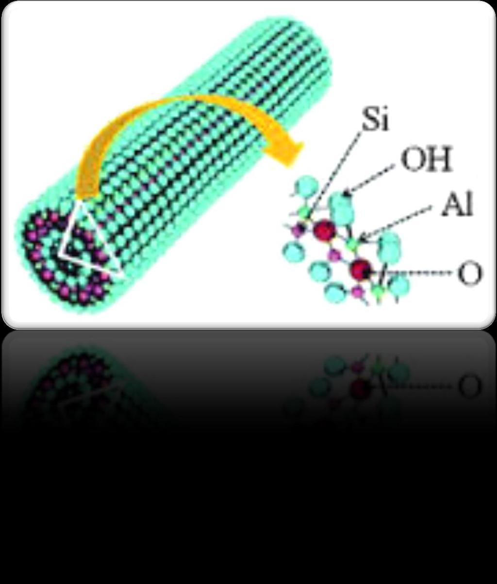 Tubular structure Good biocompatibility and very low cytotoxicity Two-layered aluminosilicate Outer