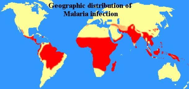 AngloGold Ashanti operations in relation to malaria areas To quote from the AGA Report to Society 2004.