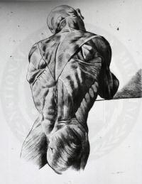 36.2 The Muscular System KEY CONCEPT Muscles