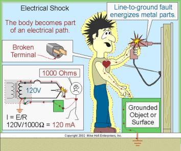 Electrically Active Areas Current follows the path of least resistance Motor Points Area where the motor end plate