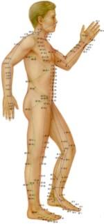 Acupuncture Points Areas on the body first mapped by