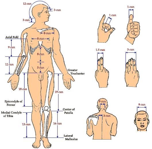 conditions Acupuncture Points utilize a body