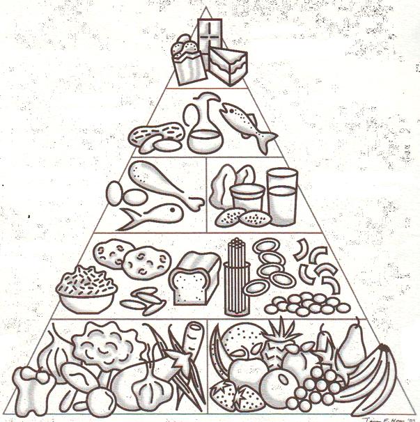 * The top of the pyramid is less important but still should be taken into consideration to get a balance diet right.