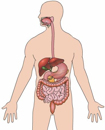 Ulcerative Colitis Introduction Ulcerative colitis is an inflammatory bowel disease. It is one of the 2 most common inflammatory bowel diseases. The other one is Crohn s disease.