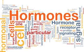 6.6 HORMONES