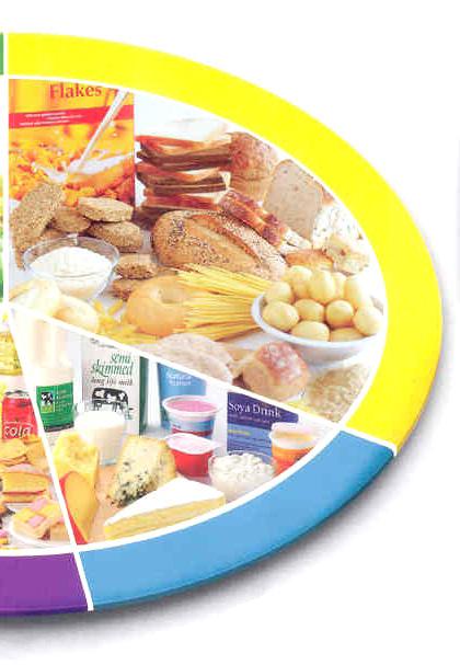 Bread other cereals and potatoes ell Plate These foods should be the main source of energy in our diets. They also provide B vitamins, some calcium and iron.