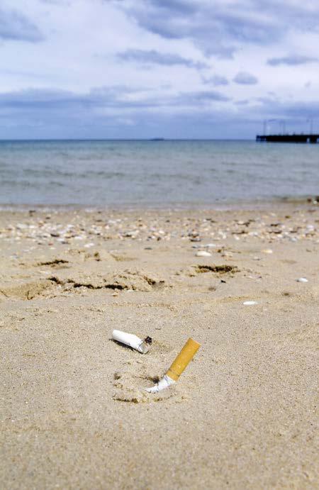 Background and Need for a Tobacco-Free Parks/Beaches Policy Littered cigarette butts pose a