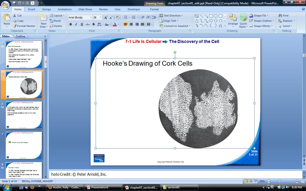 LIFE IS CELLULAR Robert Hooke- coined the term cells The Cell Theory All living things are composed of cells.