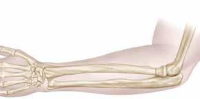 Pronate the forearm during exposure to protect the motor branch of the radial nerve that passes around the radial neck.