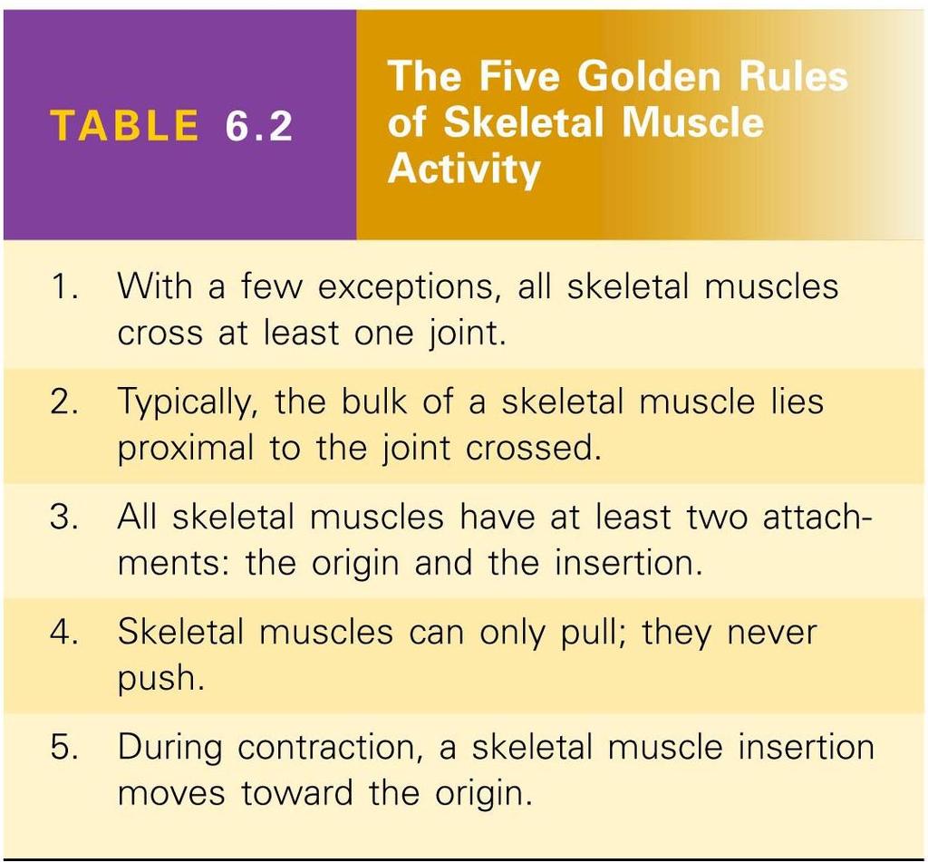 Five Golden Rules of
