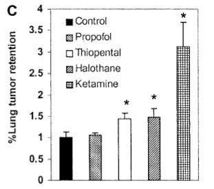 IV agents and NK cell activity In rats, all anesthetics, except propofol, significantly reduced NK activity and