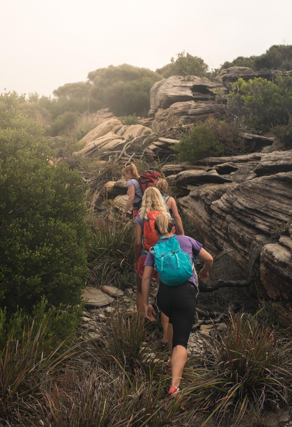 TREK TRAINING Trek Training is a time-efficient, outdoor adventure workout, using endurance walking and high intensity interval training on rough bush tracks, stairs, hills and soft sand, with