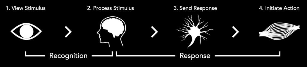 WHAT IS REACTION TIME? Reaction time is a measure of sensory and neuromotor function that encompasses stimulus recognition and processing followed by the initiation of a neuromotor response.