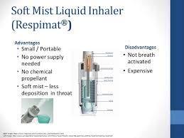 Soft Mist Inhaler (SMI)