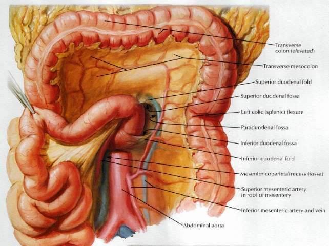 Recesses of peritoneal cavity (near