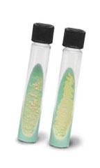 Laboratory Tests: Specific Biochemical tests Require sub-culture Ex.
