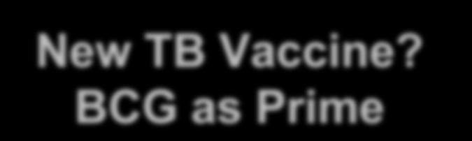New TB Vaccine?