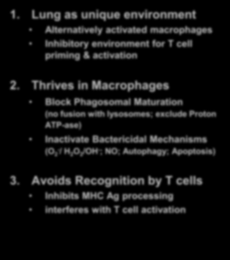 Inactivate Bactericidal Mechanisms (O 2- / H 2