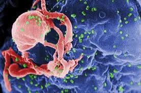 others with HIV even if the