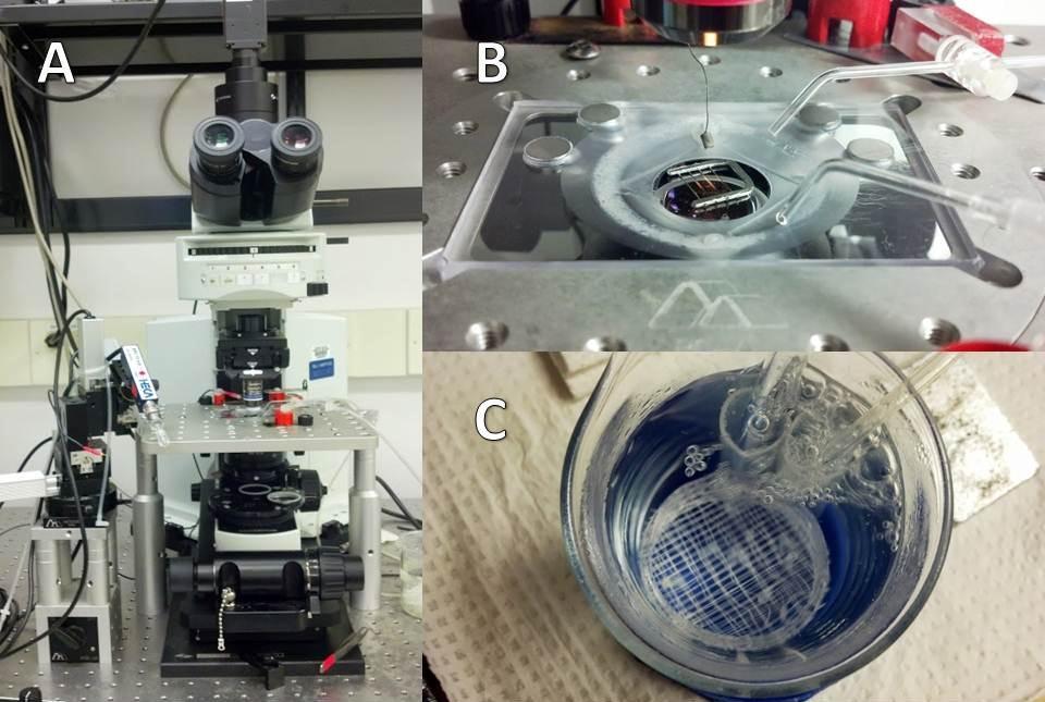 45 Figure 10: Components of the experimental setup. A, The Olympus BX51 Upright Microscope used for inspecting brain slices.