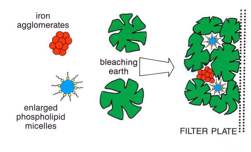 Bleaching mechanisms Adsorption: Catalytic interactions: Agglomeration: Filter