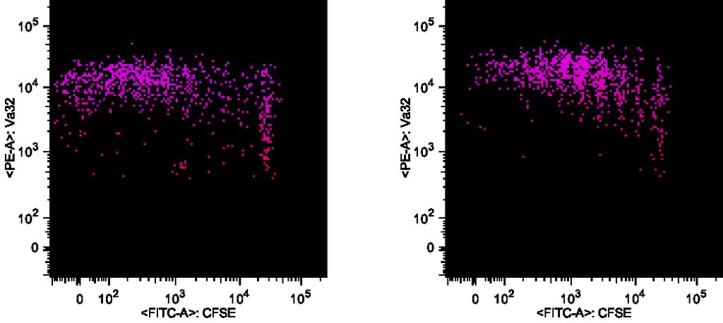 Antigen Specific CD4 + T cell Proliferation Tumour Draining Node Spleen CFSE Dilution CFSE