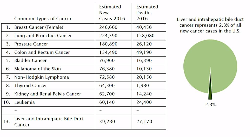 HCC data in SEER Cancer