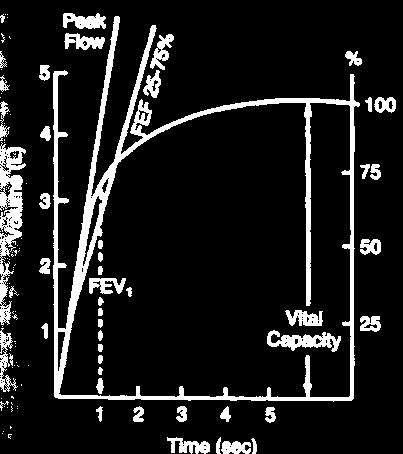 Forced Expiratory Flow 25-75% (FEF 25-75 ) Mean forced expiratory flow